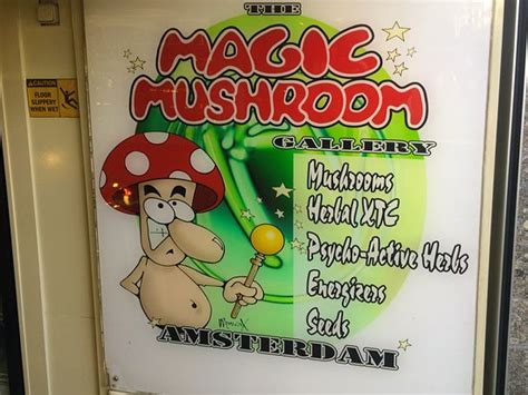 magic mushshrooms restaurant